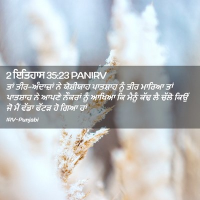 Picture 02 - 2 ਇਤਿਹਾਸ 35:23 PANIRV - ਤਾਂ ਤੀਰ-ਅੰਦਾਜ਼ਾਂ - Bible Verse Picture