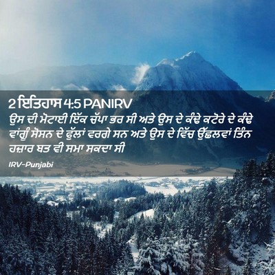 Picture 02 - 2 ਇਤਿਹਾਸ 4:5 PANIRV - ਉਸ ਦੀ ਮੋਟਾਈ ਇੱਕ - Bible Verse Picture