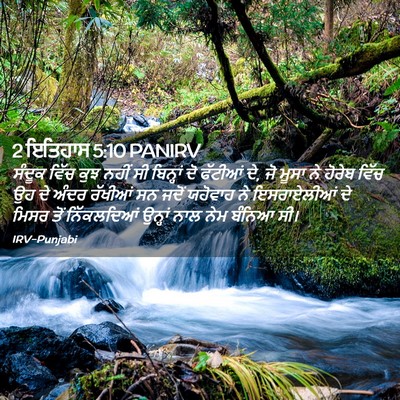 Picture 02 - 2 ਇਤਿਹਾਸ 5:10 PANIRV - ਸੰਦੂਕ ਵਿੱਚ ਕੁਝ - Bible Verse Picture