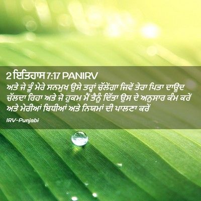 Picture 02 - 2 ਇਤਿਹਾਸ 7:17 PANIRV - ਅਤੇ ਜੇ ਤੂੰ ਮੇਰੇ - Bible Verse Picture