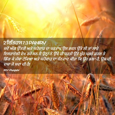 Picture 02 - 2 ਇਤਿਹਾਸ 7:3 PANIRV - ਜਦੋਂ ਅੱਗ ਉੱਤਰੀ ਅਤੇ - Bible Verse Picture
