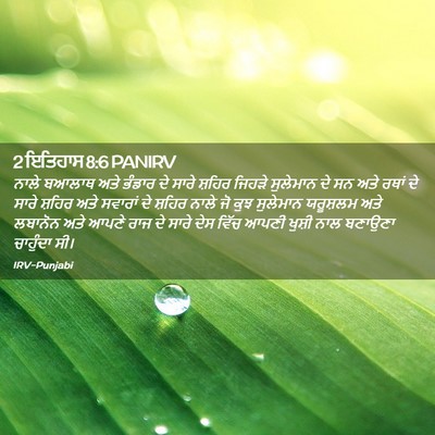 Picture 02 - 2 ਇਤਿਹਾਸ 8:6 PANIRV - ਨਾਲੇ ਬਆਲਾਥ ਅਤੇ - Bible Verse Picture