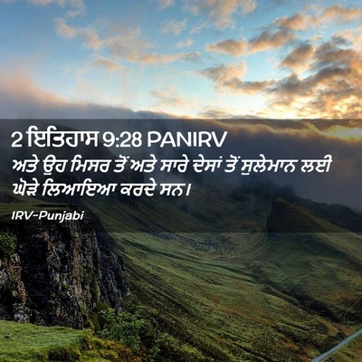 Picture 02 - 2 ਇਤਿਹਾਸ 9:28 PANIRV - ਅਤੇ ਉਹ ਮਿਸਰ ਤੋਂ ਅਤੇ - Bible Verse Picture