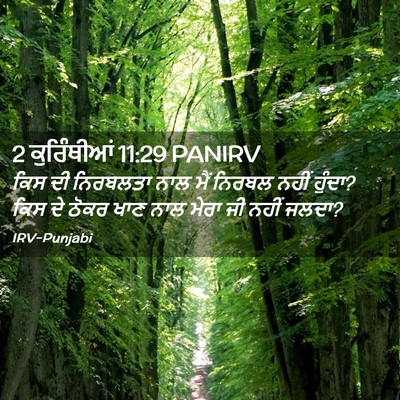 Picture 02 - 2 ਕੁਰਿੰਥੀਆਂ 11:29 PANIRV - ਕਿਸ ਦੀ ਨਿਰਬਲਤਾ ਨਾਲ - Bible Verse Picture