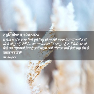 Picture 02 - 2 ਕੁਰਿੰਥੀਆਂ 11:4 PANIRV - ਜੇ ਕੋਈ ਆਉਣ ਵਾਲਾ - Bible Verse Picture