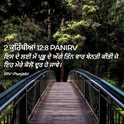 Picture 02 - 2 ਕੁਰਿੰਥੀਆਂ 12:8 PANIRV - ਇਸ ਦੇ ਲਈ ਮੈਂ ਪ੍ਰਭੂ - Bible Verse Picture