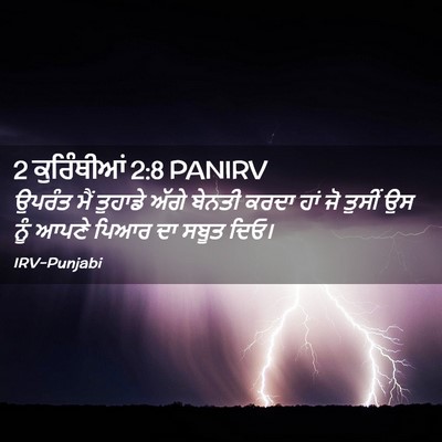 Picture 02 - 2 ਕੁਰਿੰਥੀਆਂ 2:8 PANIRV - ਉਪਰੰਤ ਮੈਂ ਤੁਹਾਡੇ - Bible Verse Picture