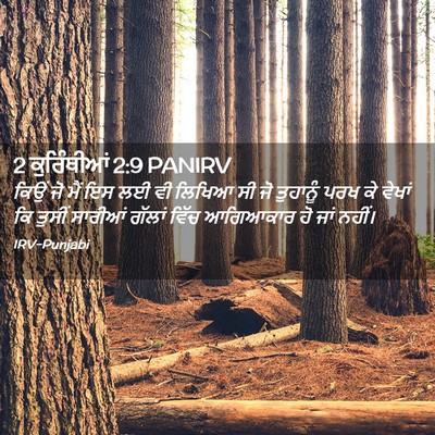 Picture 02 - 2 ਕੁਰਿੰਥੀਆਂ 2:9 PANIRV - ਕਿਉਂ ਜੋ ਮੈਂ ਇਸ ਲਈ - Bible Verse Picture