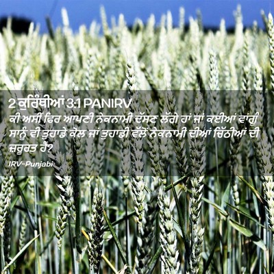 Picture 02 - 2 ਕੁਰਿੰਥੀਆਂ 3:1 PANIRV - ਕੀ ਅਸੀਂ ਫਿਰ ਆਪਣੀ - Bible Verse Picture