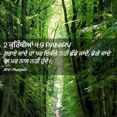Picture 02 - 2 ਕੁਰਿੰਥੀਆਂ 4:9 PANIRV - ਸਤਾਏ ਜਾਂਦੇ ਹਾਂ ਪਰ - Bible Verse Picture