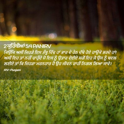 Picture 02 - 2 ਕੁਰਿੰਥੀਆਂ 5:4 PANIRV - ਕਿਉਂਕਿ ਅਸੀਂ ਜਿਹੜੇ - Bible Verse Picture