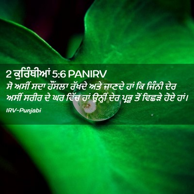 Picture 02 - 2 ਕੁਰਿੰਥੀਆਂ 5:6 PANIRV - ਸੋ ਅਸੀਂ ਸਦਾ ਹੌਂਸਲਾ - Bible Verse Picture