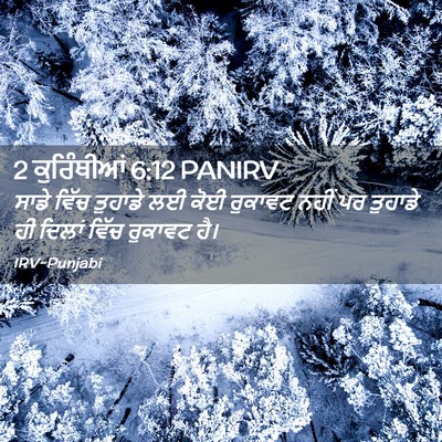 Picture 02 - 2 ਕੁਰਿੰਥੀਆਂ 6:12 PANIRV - ਸਾਡੇ ਵਿੱਚ ਤੁਹਾਡੇ - Bible Verse Picture