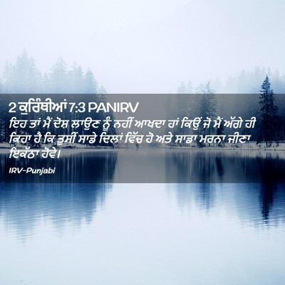 Picture 02 - 2 ਕੁਰਿੰਥੀਆਂ 7:3 PANIRV - ਇਹ ਤਾਂ ਮੈਂ ਦੋਸ਼ - Bible Verse Picture