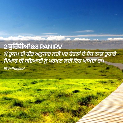 Picture 02 - 2 ਕੁਰਿੰਥੀਆਂ 8:8 PANIRV - ਮੈਂ ਹੁਕਮ ਦੀ ਰੀਤ - Bible Verse Picture