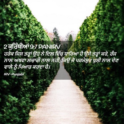 Picture 02 - 2 ਕੁਰਿੰਥੀਆਂ 9:7 PANIRV - ਹਰੇਕ ਜਿਸ ਤਰ੍ਹਾਂ ਉਹ - Bible Verse Picture