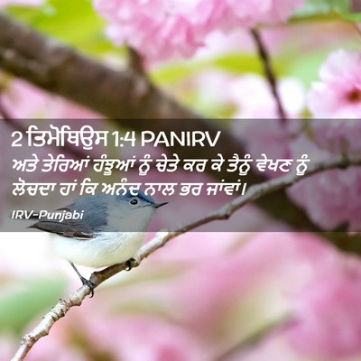 Picture 02 - 2 ਤਿਮੋਥਿਉਸ 1:4 PANIRV - ਅਤੇ ਤੇਰਿਆਂ ਹੰਝੂਆਂ - Bible Verse Picture
