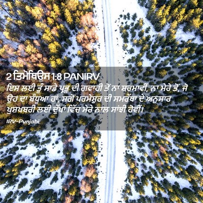 Picture 02 - 2 ਤਿਮੋਥਿਉਸ 1:8 PANIRV - ਇਸ ਲਈ ਤੂੰ ਸਾਡੇ - Bible Verse Picture