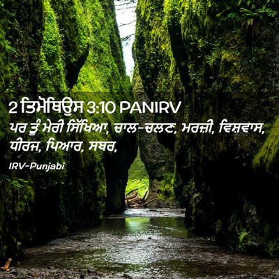 Picture 02 - 2 ਤਿਮੋਥਿਉਸ 3:10 PANIRV - ਪਰ ਤੂੰ ਮੇਰੀ ਸਿੱਖਿਆ, - Bible Verse Picture