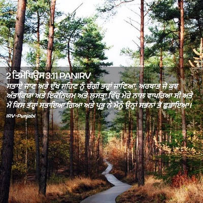Picture 02 - 2 ਤਿਮੋਥਿਉਸ 3:11 PANIRV - ਸਤਾਏ ਜਾਣ ਅਤੇ ਦੁੱਖ - Bible Verse Picture