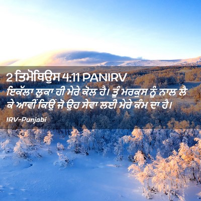 Picture 02 - 2 ਤਿਮੋਥਿਉਸ 4:11 PANIRV - ਇਕੱਲਾ ਲੂਕਾ ਹੀ ਮੇਰੇ - Bible Verse Picture
