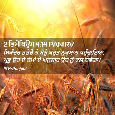Picture 02 - 2 ਤਿਮੋਥਿਉਸ 4:14 PANIRV - ਸਿਕੰਦਰ ਠਠੇਰੇ ਨੇ - Bible Verse Picture