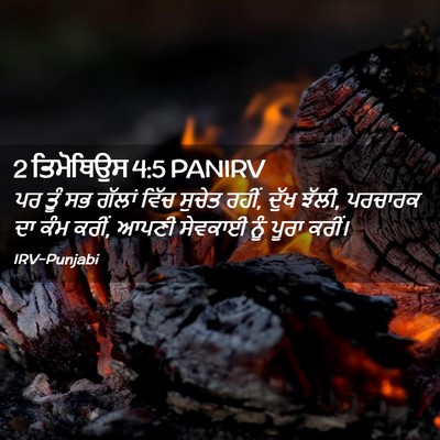 Picture 02 - 2 ਤਿਮੋਥਿਉਸ 4:5 PANIRV - ਪਰ ਤੂੰ ਸਭ ਗੱਲਾਂ - Bible Verse Picture