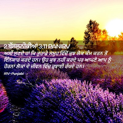 Picture 02 - 2 ਥੱਸਲੁਨੀਕੀਆਂ 3:11 PANIRV - ਅਸੀਂ ਸੁਣਦੇ ਹਾਂ ਕਿ - Bible Verse Picture