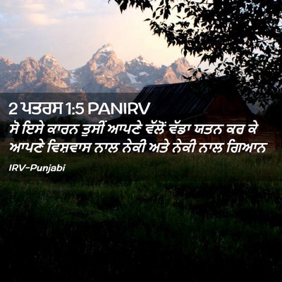 Picture 02 - 2 ਪਤਰਸ 1:5 PANIRV - ਸੋ ਇਸੇ ਕਾਰਨ ਤੁਸੀਂ - Bible Verse Picture