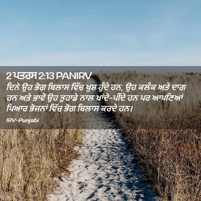 Picture 02 - 2 ਪਤਰਸ 2:13 PANIRV - ਦਿਨੇ ਉਹ ਭੋਗ ਬਿਲਾਸ - Bible Verse Picture