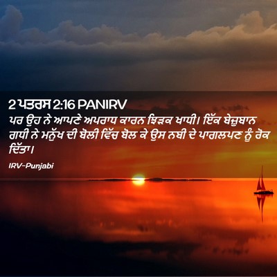Picture 02 - 2 ਪਤਰਸ 2:16 PANIRV - ਪਰ ਉਹ ਨੇ ਆਪਣੇ ਅਪਰਾਧ - Bible Verse Picture
