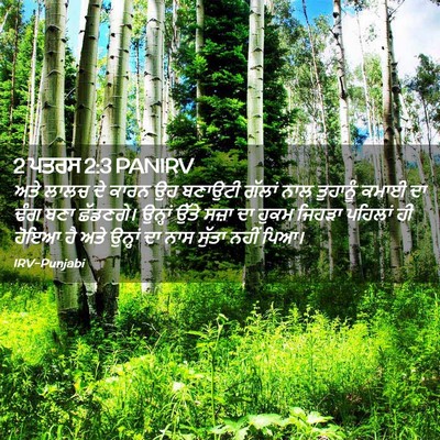 Picture 02 - 2 ਪਤਰਸ 2:3 PANIRV - ਅਤੇ ਲਾਲਚ ਦੇ ਕਾਰਨ ਉਹ - Bible Verse Picture