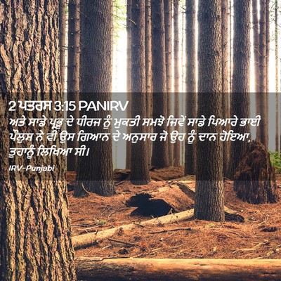Picture 02 - 2 ਪਤਰਸ 3:15 PANIRV - ਅਤੇ ਸਾਡੇ ਪ੍ਰਭੂ ਦੇ - Bible Verse Picture