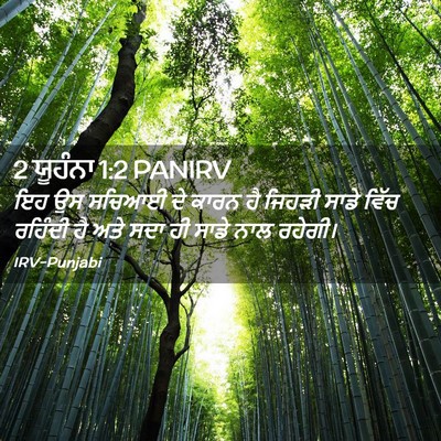 Picture 02 - 2 ਯੂਹੰਨਾ 1:2 PANIRV - ਇਹ ਉਸ ਸਚਿਆਈ ਦੇ ਕਾਰਨ - Bible Verse Picture