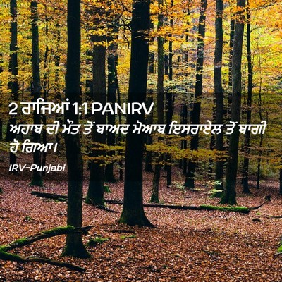 Picture 02 - 2 ਰਾਜਿਆਂ 1:1 PANIRV - ਅਹਾਬ ਦੀ ਮੌਤ ਤੋਂ - Bible Verse Picture