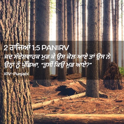 Picture 02 - 2 ਰਾਜਿਆਂ 1:5 PANIRV - ਜਦ ਸੰਦੇਸ਼ਵਾਹਕ ਮੁੜ - Bible Verse Picture