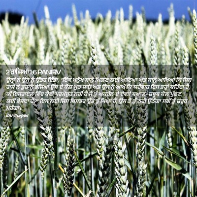 Picture 02 - 2 ਰਾਜਿਆਂ 1:6 PANIRV - ਉਨ੍ਹਾਂ ਨੇ ਉਸ ਨੂੰ - Bible Verse Picture
