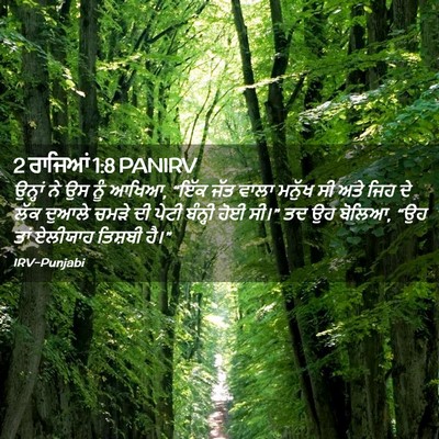 Picture 02 - 2 ਰਾਜਿਆਂ 1:8 PANIRV - ਉਨ੍ਹਾਂ ਨੇ ਉਸ ਨੂੰ - Bible Verse Picture
