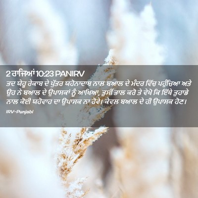 Picture 02 - 2 ਰਾਜਿਆਂ 10:23 PANIRV - ਤਦ ਯੇਹੂ ਰੇਕਾਬ ਦੇ - Bible Verse Picture