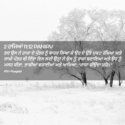 Picture 02 - 2 ਰਾਜਿਆਂ 11:12 PANIRV - ਤਦ ਉਸ ਨੇ ਰਾਜਾ ਦੇ - Bible Verse Picture