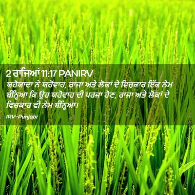 Picture 02 - 2 ਰਾਜਿਆਂ 11:17 PANIRV - ਯਹੋਯਾਦਾ ਨੇ ਯਹੋਵਾਹ, - Bible Verse Picture