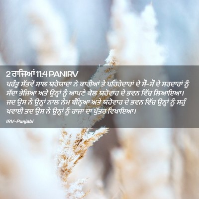 Picture 02 - 2 ਰਾਜਿਆਂ 11:4 PANIRV - ਪਰੰਤੂ ਸੱਤਵੇਂ ਸਾਲ - Bible Verse Picture