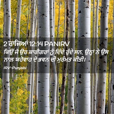 Picture 02 - 2 ਰਾਜਿਆਂ 12:14 PANIRV - ਕਿਉਂ ਜੋ ਉਹ - Bible Verse Picture