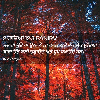Picture 02 - 2 ਰਾਜਿਆਂ 12:3 PANIRV - ਤਦ ਵੀ ਉੱਚੇ ਥਾਂ - Bible Verse Picture