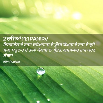 Picture 02 - 2 ਰਾਜਿਆਂ 14:1 PANIRV - ਇਸਰਾਏਲ ਦੇ ਰਾਜਾ - Bible Verse Picture
