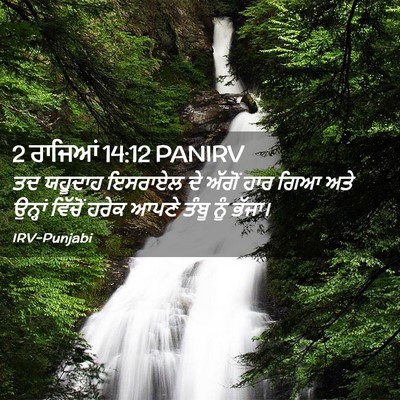 Picture 02 - 2 ਰਾਜਿਆਂ 14:12 PANIRV - ਤਦ ਯਹੂਦਾਹ ਇਸਰਾਏਲ - Bible Verse Picture