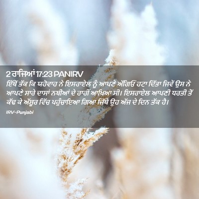 Picture 02 - 2 ਰਾਜਿਆਂ 17:23 PANIRV - ਇੱਥੋਂ ਤੱਕ ਕਿ - Bible Verse Picture