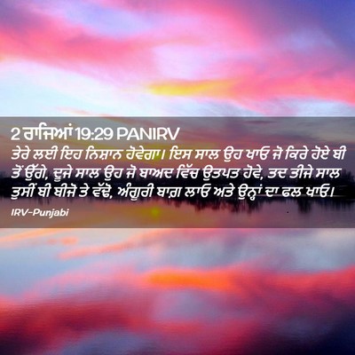 Picture 02 - 2 ਰਾਜਿਆਂ 19:29 PANIRV - ਤੇਰੇ ਲਈ ਇਹ ਨਿਸ਼ਾਨ - Bible Verse Picture
