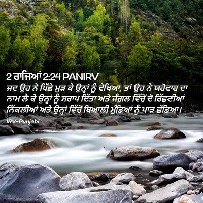 Picture 02 - 2 ਰਾਜਿਆਂ 2:24 PANIRV - ਜਦ ਉਹ ਨੇ ਪਿੱਛੇ ਮੁੜ - Bible Verse Picture