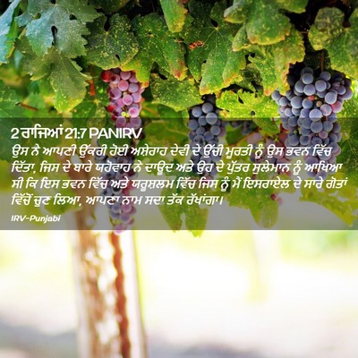 Picture 02 - 2 ਰਾਜਿਆਂ 21:7 PANIRV - ਉਸ ਨੇ ਆਪਣੀ ਉੱਕਰੀ - Bible Verse Picture